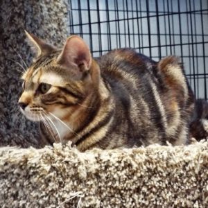 Picture of Big Girl