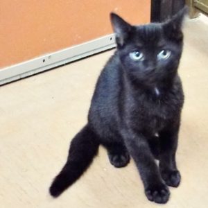 Picture of Jacques