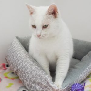 Picture of Luna Lou