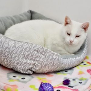 Picture of Luna Lou