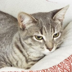 Picture of Mindy