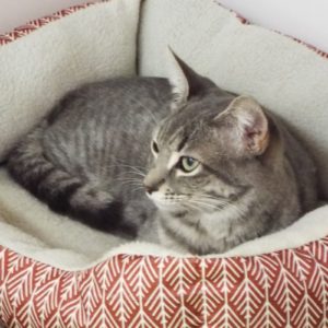 Picture of Mindy