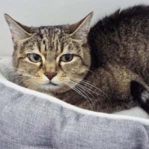 Picture of Mitzi