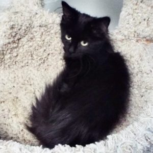 Picture of Marco