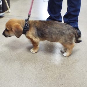 Picture of Rudy
