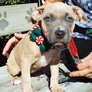 Picture of Lennox