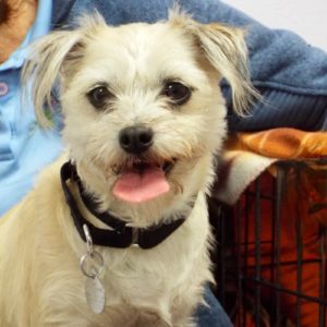 Picture of Missy Rue