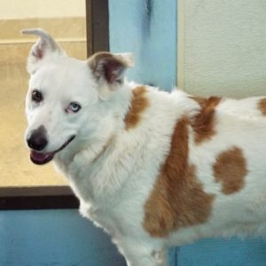 Picture of Nana Banana