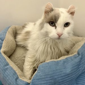 Picture of Bubby