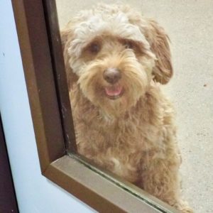 Picture of Charlie