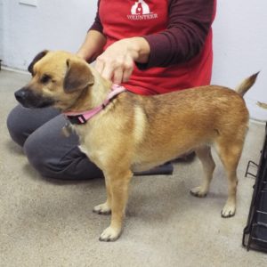 Picture of Hazel