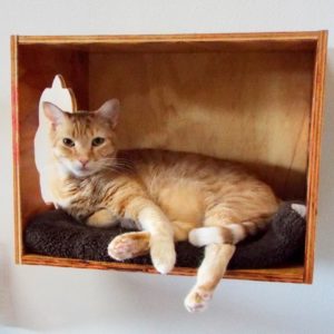 Picture of Oliver