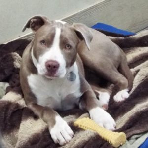 Picture of Penny