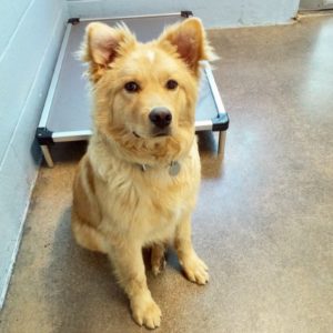 Picture of Rusty