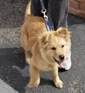 Picture of Rusty