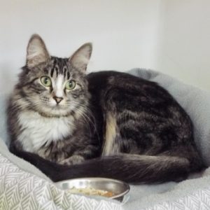 Picture of Sprout