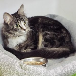 Picture of Sprout