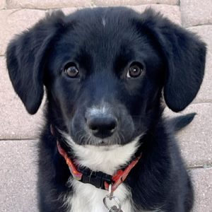 Picture of Hazel