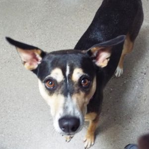 Picture of Holly
