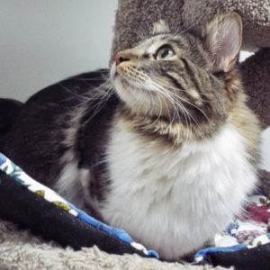 Picture of Nina