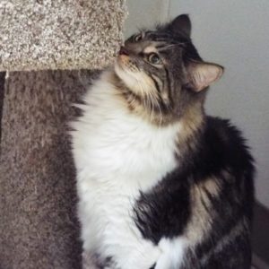 Picture of Nina