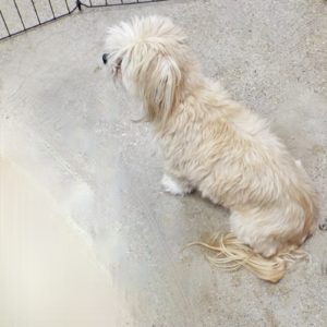 Picture of Edie