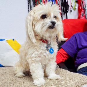 Picture of Edie