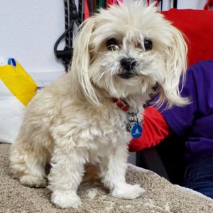 Picture of Edie