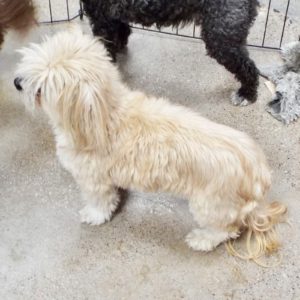 Picture of Edie