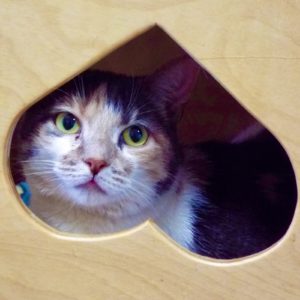 Picture of Kiki