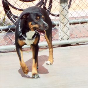 Picture of Luca