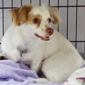 Picture of Molly