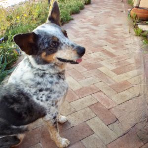 Picture of Addie