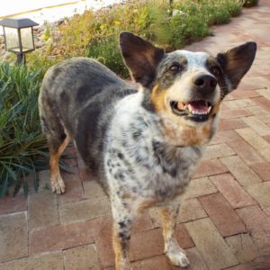 Picture of Addie