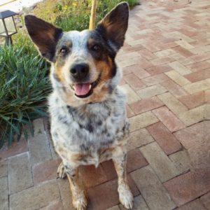Picture of Addie