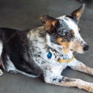 Picture of Addie