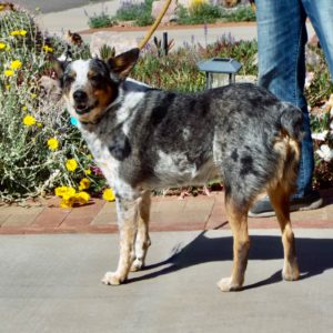 Picture of Addie
