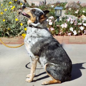 Picture of Addie