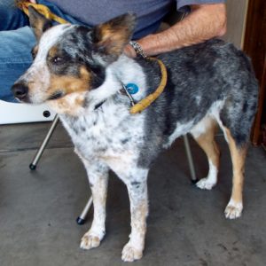 Picture of Addie