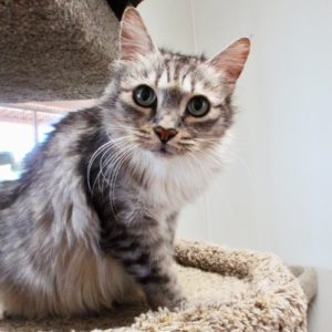 Picture of Elizabeth
