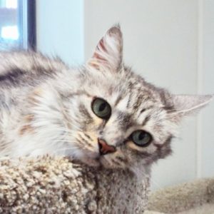 Picture of Elizabeth