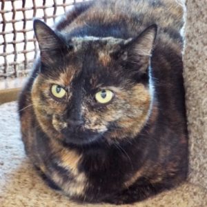 Picture of Gabby