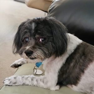 Picture of Neya