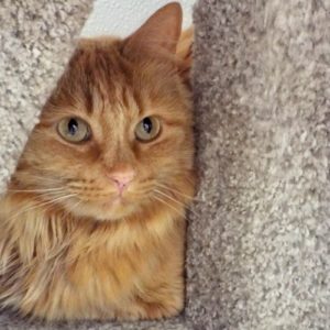 Picture of Precious