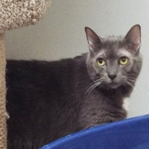Picture of Sasha