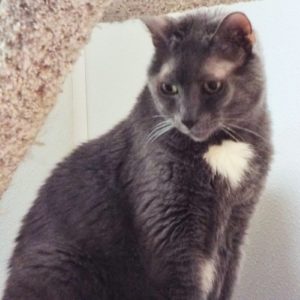 Picture of Sasha
