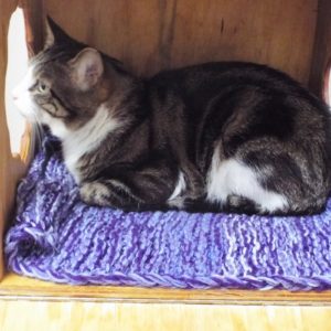 Picture of Barnum