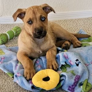 Picture of Princess
