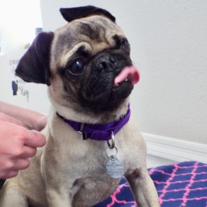Picture of Sebastian