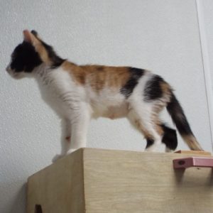 Picture of Thelma